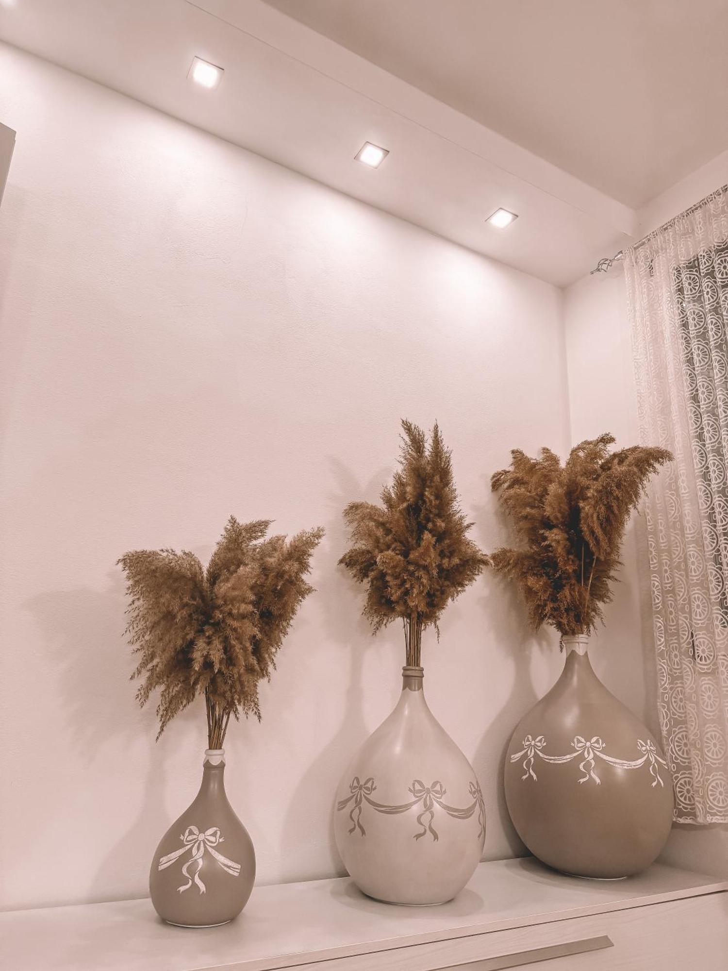 Villa Forni Cesenatico Ngoại thất bức ảnh